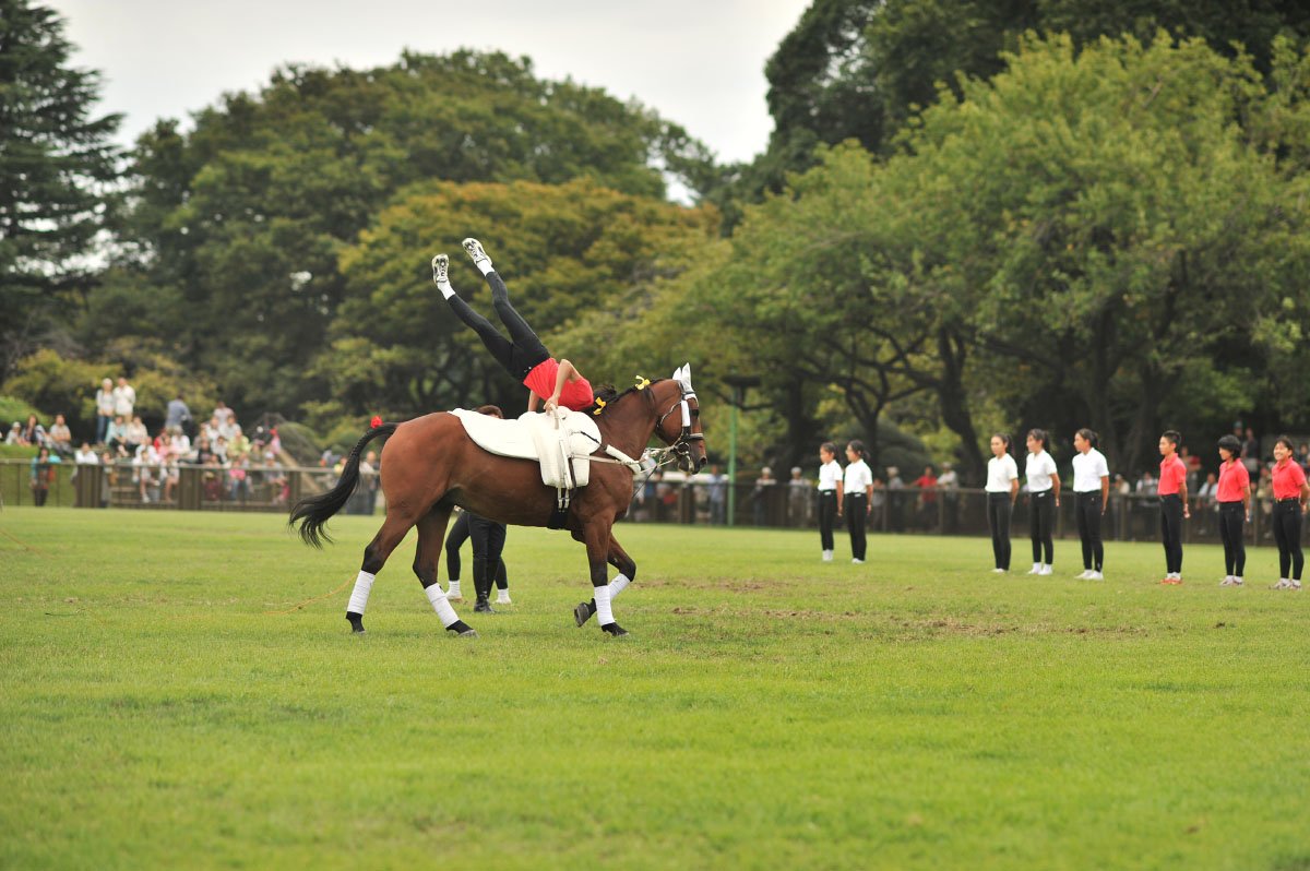 🌳 JRA 마사코엔(JRA 바지코엔) 이미지 7
